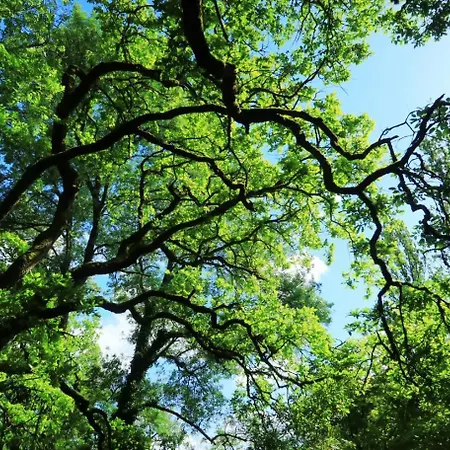Casa de Férias L' Embrassement Le Luquet Beauzeil 82 *