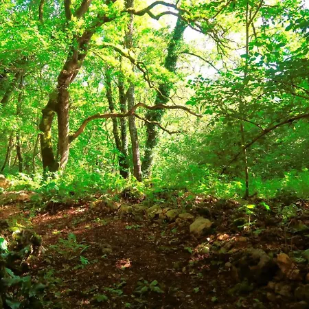 L' Embrassement Le Luquet Beauzeil 82 Casa de Férias Saint-Beauzeil