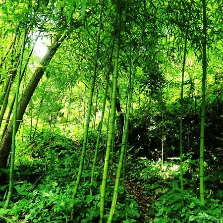 Casa de Férias L' Embrassement Le Luquet Beauzeil 82 Saint-Beauzeil