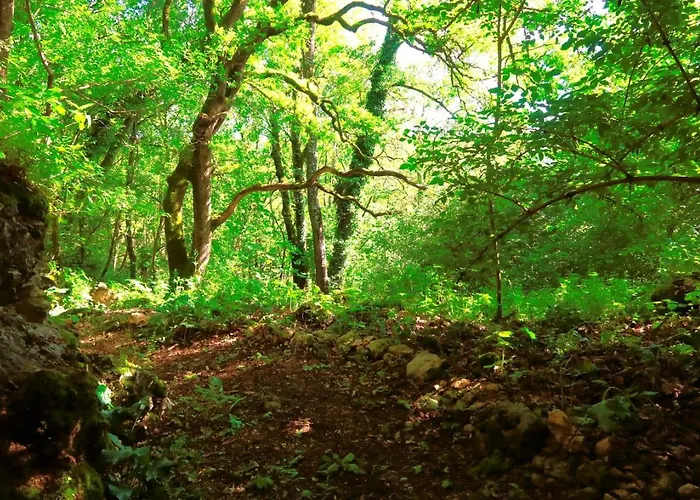 L' Embrassement Le Luquet Beauzeil 82 بيت للعطل Saint-Beauzeil